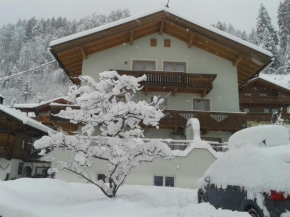 Ferienwohnung Rauch Schwendau